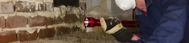Pest control technician inspecting a crawl space for ant activity and entry points in Denver, CO