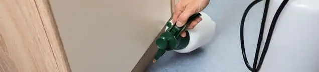Bed bug exterminator treating baseboards and cracks with targeted spray in Denver, CO