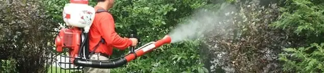 Mosquito control technician fogging shrubs and landscaping for mosquito treatment in Denver, CO