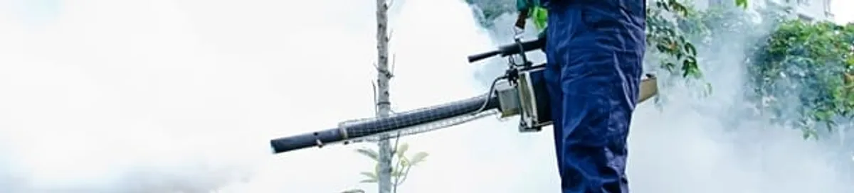 Pest control technician fogging an outdoor area for insect control in Denver, CO
