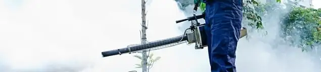 Pest control technician fogging an outdoor area for insect control in Denver, CO