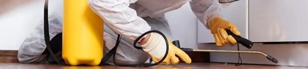 Roach exterminator treating cracks and crevices along kitchen baseboards in Denver, CO