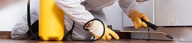 Roach exterminator treating cracks and crevices along kitchen baseboards in Denver, CO