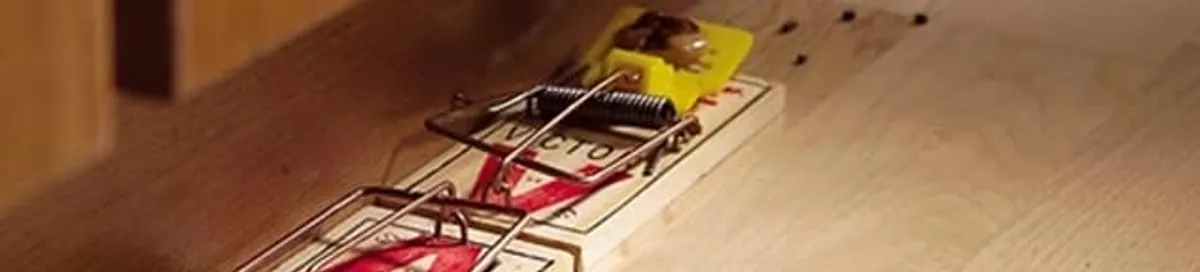 Rodent trap set indoors for rodent control and prevention in Denver, CO