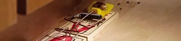 Rodent trap set indoors for rodent control and prevention in Denver, CO