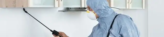 Termite treatment technician applying indoor pest control spray in Denver, CO
